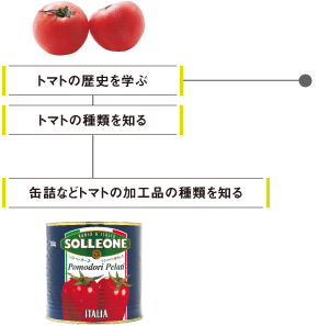 トマトの歴史を学ぶ / トマトの種類を知る / 缶詰などトマトの加工品の種類を知る