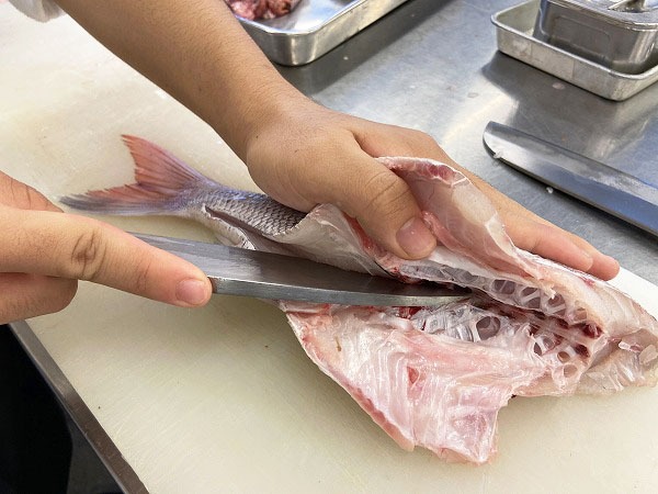 「数多くの魚をさばきます！」～日本料理だけを学ぶ「新学科」ブログ10～