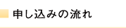 �\�����݂̗���