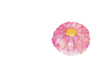 �C���X�g3