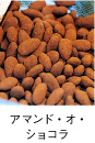 �A�}���h�E�I�E�V���R��