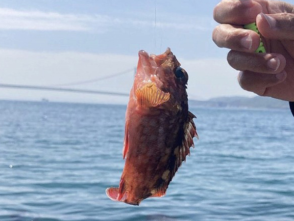 「自分で釣った魚を食べてほしいぞ！その思いで入学しました！」　～日本料理だけを学ぶ辻調　ブログ7～
