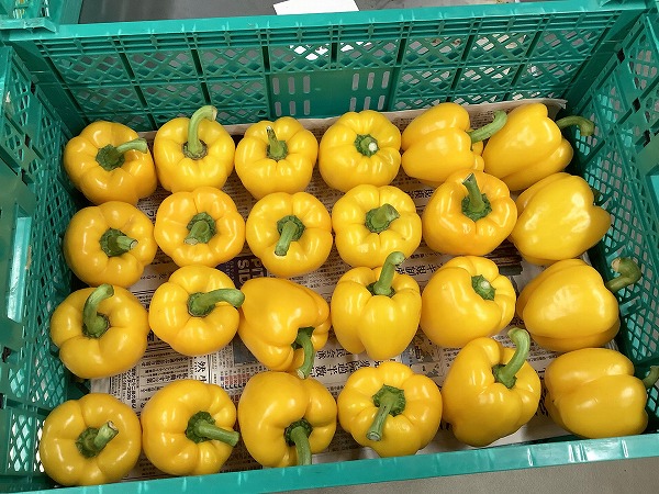 教材課から ～学びを支える教材課の仕事～