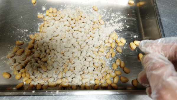 豆豉の作り方『実践編 その1』～発酵はめちゃくちゃ奥が深い！！～