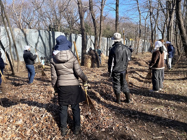 【くいしんぼうラボ 活動報告】三富新田で学ぶ、300年以上続く農の知恵「落ち葉掃き」体験