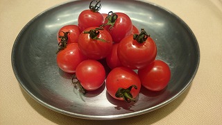 【半歩プロの西洋料理】トマトのはなし