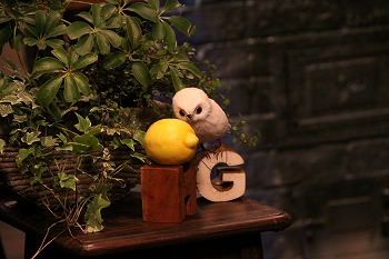 120140704IMG_5899.jpg