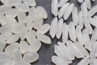 辻調おいしいネット それゆけ じゃぱに ずクッキング