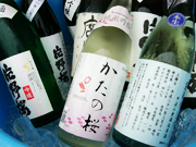 数少ない大阪の地酒「片野桜」。見かけたら是非、味わってみてください！！