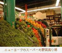 ニューヨークのスーパーの野菜売り場