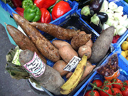 南仏の市場で見られる野菜たち