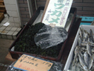 このワカメがまたうまい!!