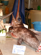 パレルモの市場にて 頭と共に置かれて売られているカジキ