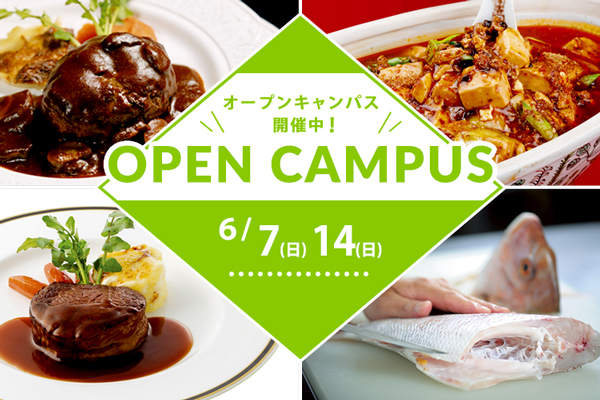 【6月7日・14日開催】選べるフェア！「ハンバーグ」or「麻婆豆腐」、「牛フィレ肉のステーキ」or「鯛一尾スペシャル」（大阪校）