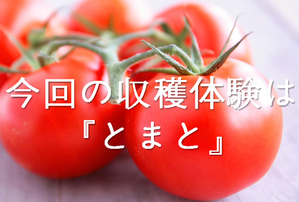 【6月23日】校外ＯＰＥＮ ＣＡＭＰＵＳ（大阪校）