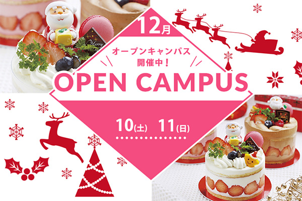 12月10 11日 一人一台 クリスマスケーキ をつくろう 辻製菓専門学校 イベント情報 辻調グループ 食のプロを育てる学校