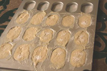 �������Q�x�[�X�̐��n