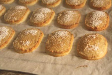 �������Q�x�[�X�̐��n