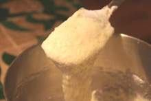 �������Q�x�[�X�̐��n