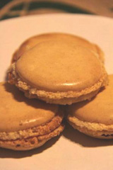 �������Q�x�[�X�̐��n