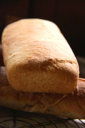 製パン